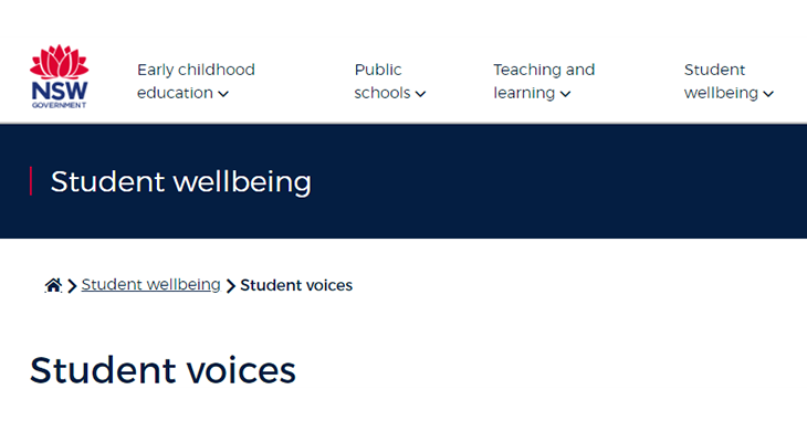 Image of NSW government website